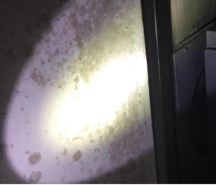 Flashlight shining towards a wall covered with mold