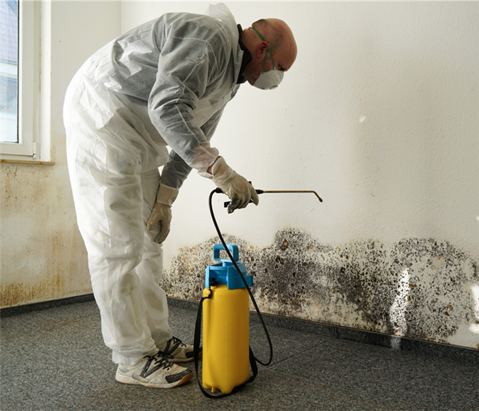 specialist in PPE combating mold 